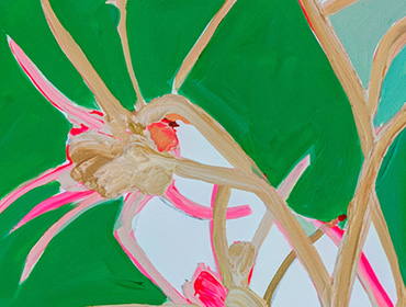 Thorn | 60 cm x 60 cm | 2014